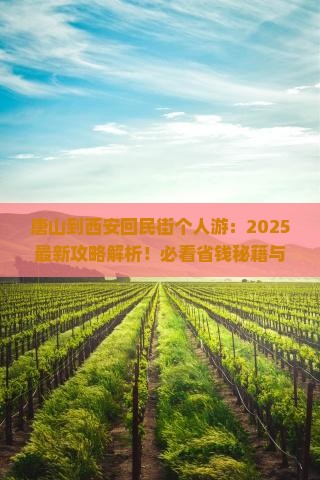唐山到西安回民街个人游