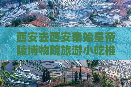 西安去西安秦始皇帝陵博物院旅游小吃