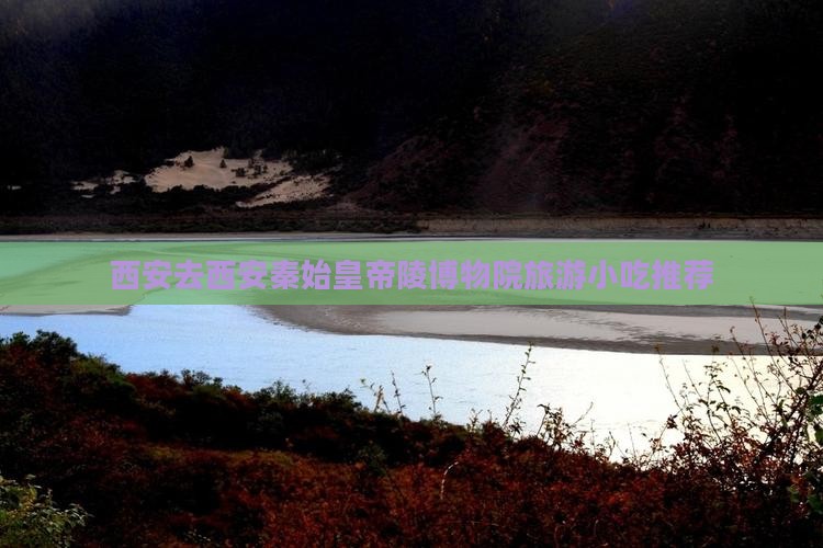 西安去西安秦始皇帝陵博物院旅游小吃