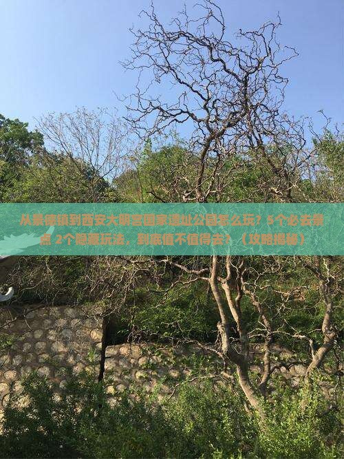 景德镇去西安大明宫国家遗址公园哪里玩