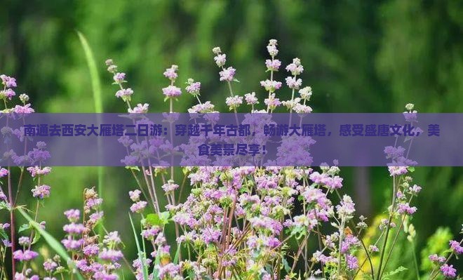 南通去西安大雁塔二日游