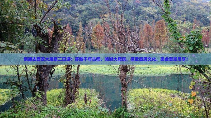南通去西安大雁塔二日游