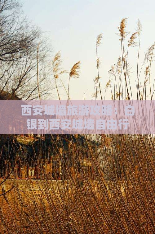 白银到西安城墙自由行