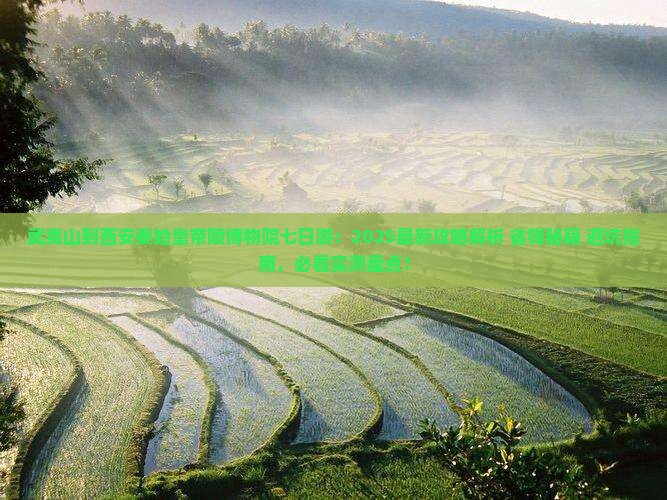 武夷山到西安秦始皇帝陵博物院七日游