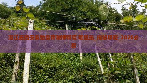 湛江去西安秦始皇帝陵博物院哪里玩