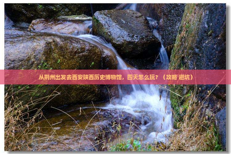 荆州去西安陕西历史博物馆四日游 荆州去西安陕西历史博物馆四日游