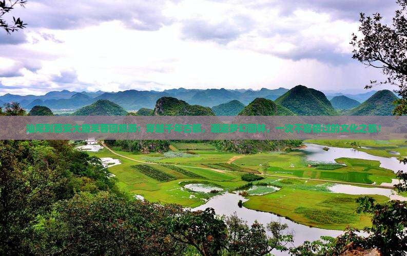 汕尾到西安大唐芙蓉园旅游