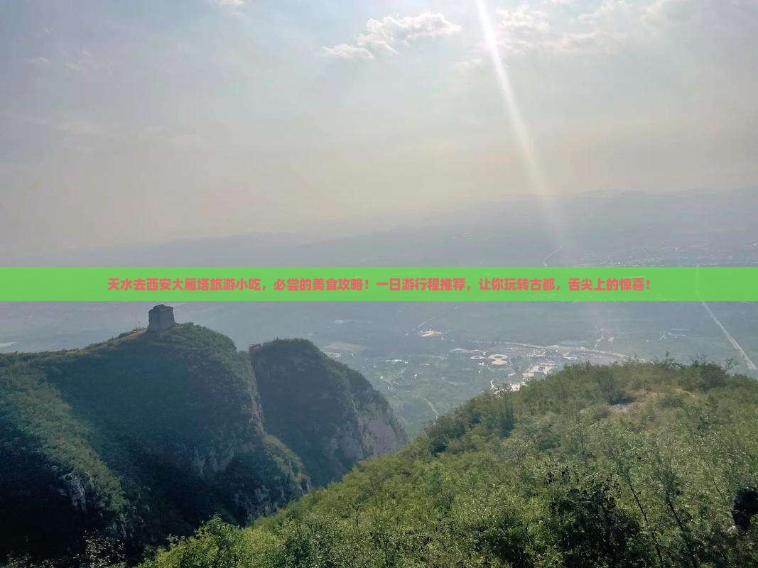 天水去西安大雁塔旅游小吃