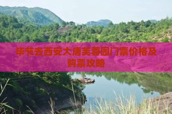 毕节去西安大唐芙蓉园门票