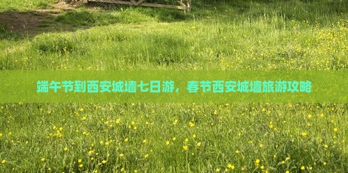 端午节到西安城墙七日游