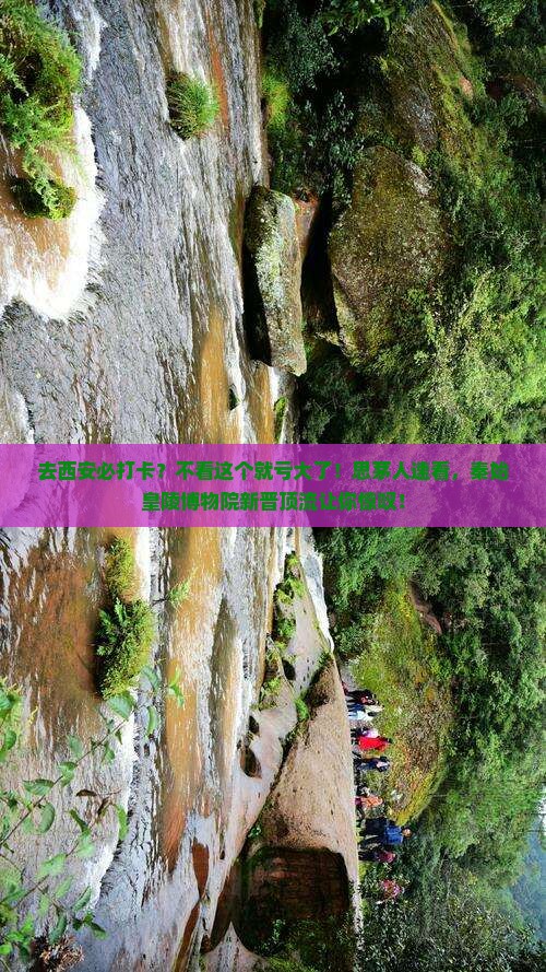 思茅去西安秦始皇帝陵博物院必去地