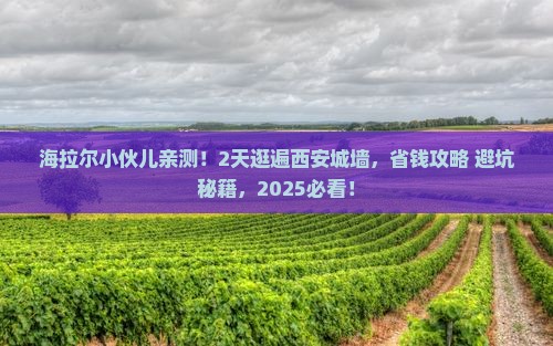 海拉尔到西安城墙二日游