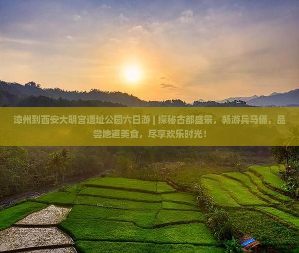 漳州到西安大明宫国家遗址公园六日游