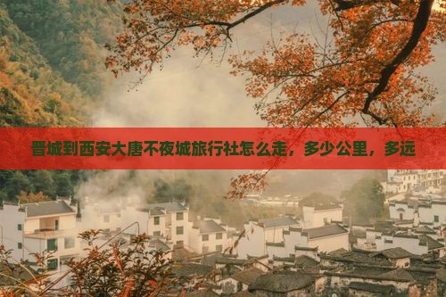 晋城到西安大唐不夜城旅行社