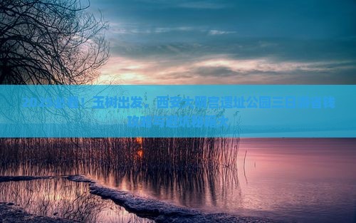 玉树到西安大明宫国家遗址公园三日游
