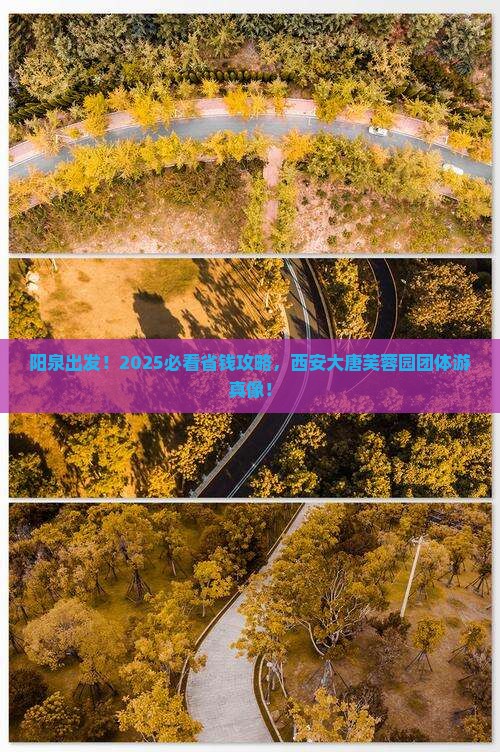 阳泉到西安大唐芙蓉园团体旅游