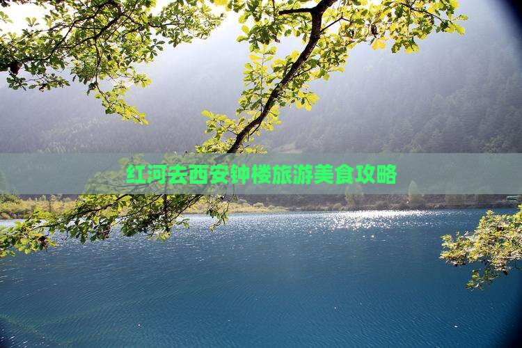 红河去西安钟楼旅游小吃