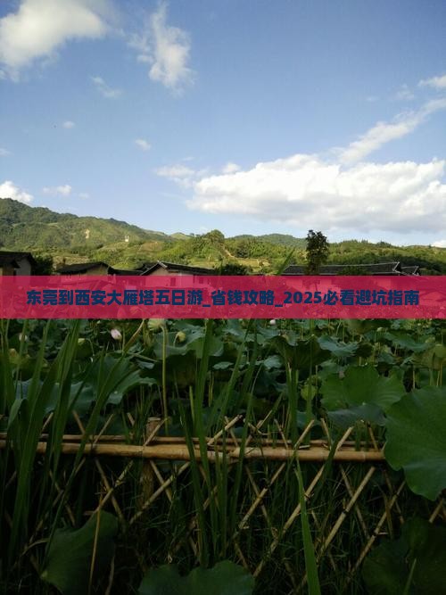 东莞到西安大雁塔五日游