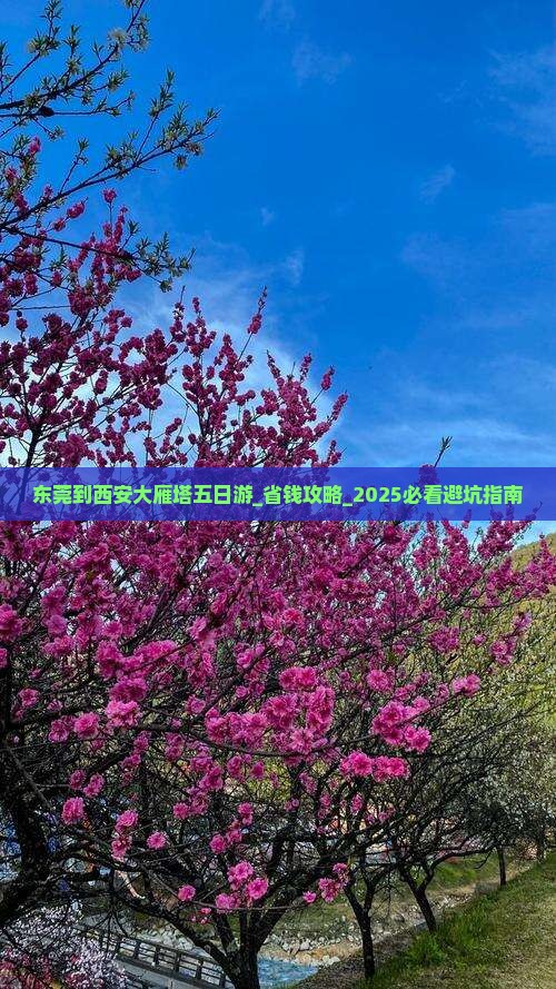 东莞到西安大雁塔五日游
