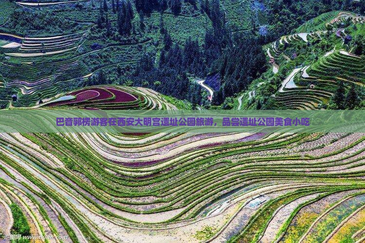 巴音郭楞去西安大明宫国家遗址公园旅游小吃