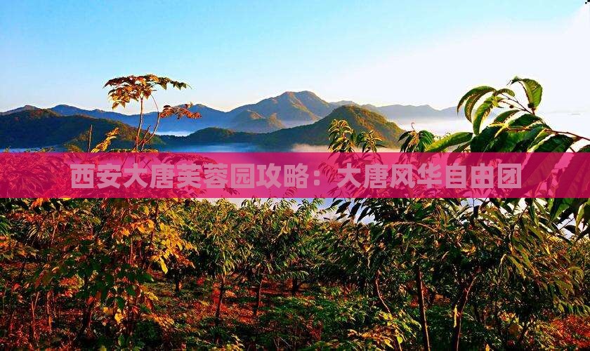 四月到西安大唐芙蓉园自由团