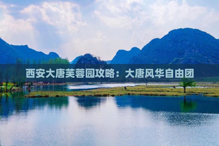 四月到西安大唐芙蓉园自由团