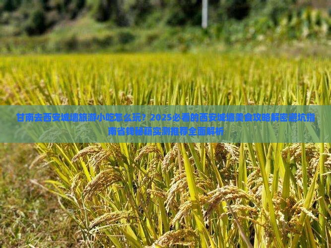甘南去西安城墙旅游小吃