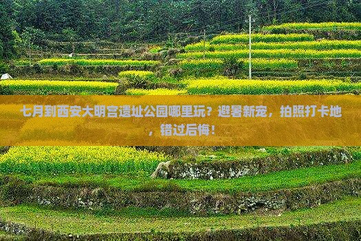 七月到西安大明宫国家遗址公园哪里玩