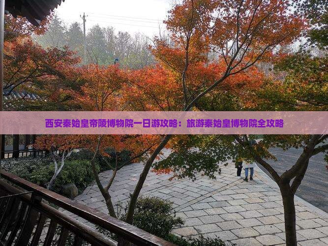 鹰潭到西安秦始皇帝陵博物院一日游