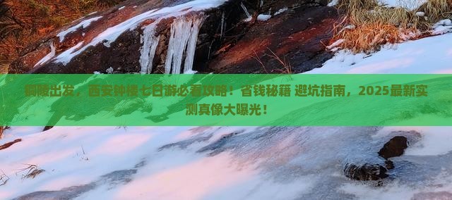 铜陵到西安钟楼七日游