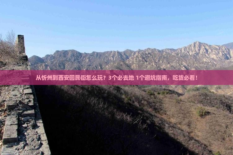 忻州去西安回民街哪里玩