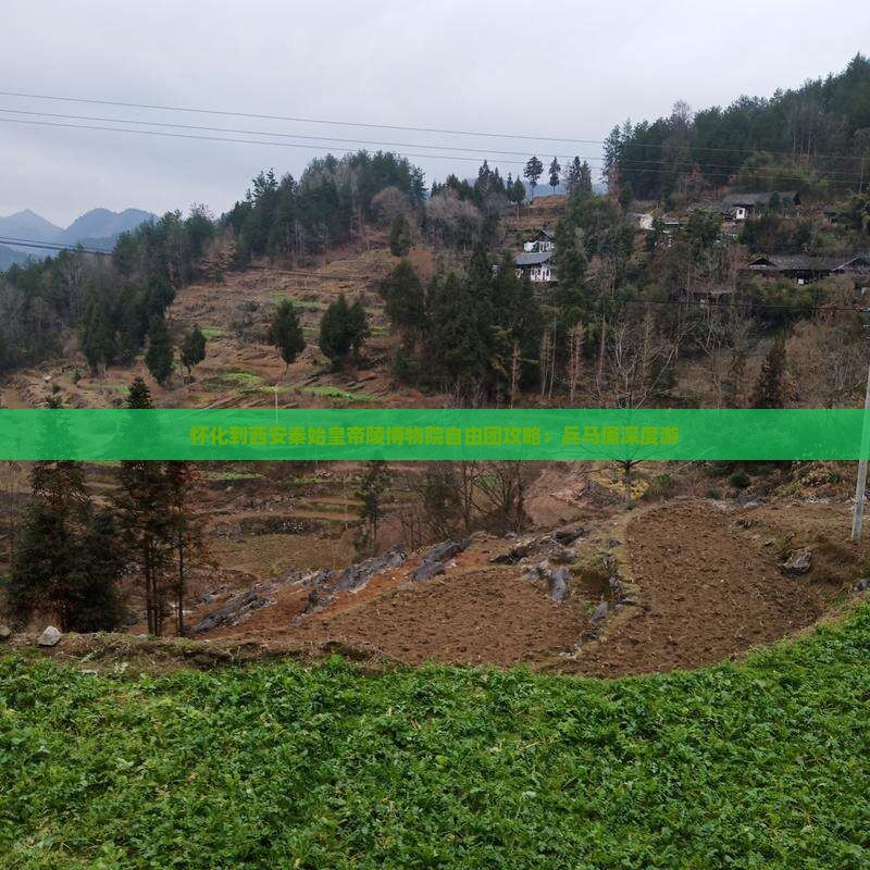 怀化到西安秦始皇帝陵博物院自由团
