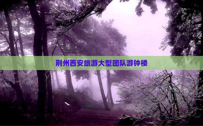 荆州去西安钟楼大型旅游团