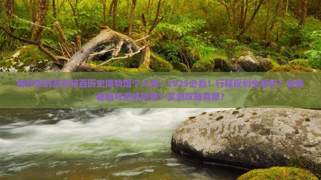 神农架到西安陕西历史博物馆个人游