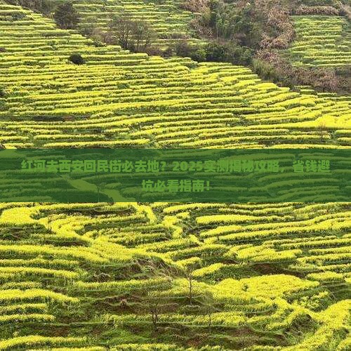 红河去西安回民街必去地