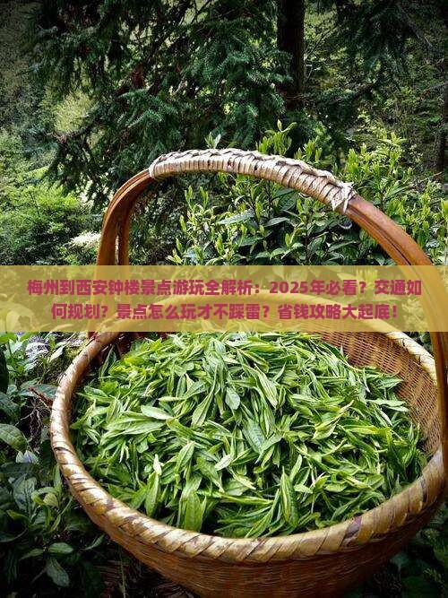 梅州到西安钟楼景点
