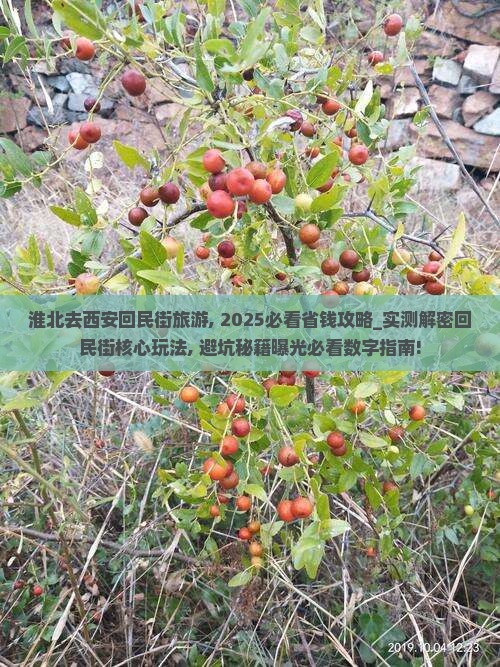 淮北去西安回民街旅游