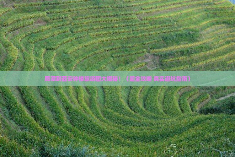 鹰潭到西安钟楼大型旅游团