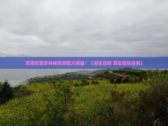 鹰潭到西安钟楼大型旅游团