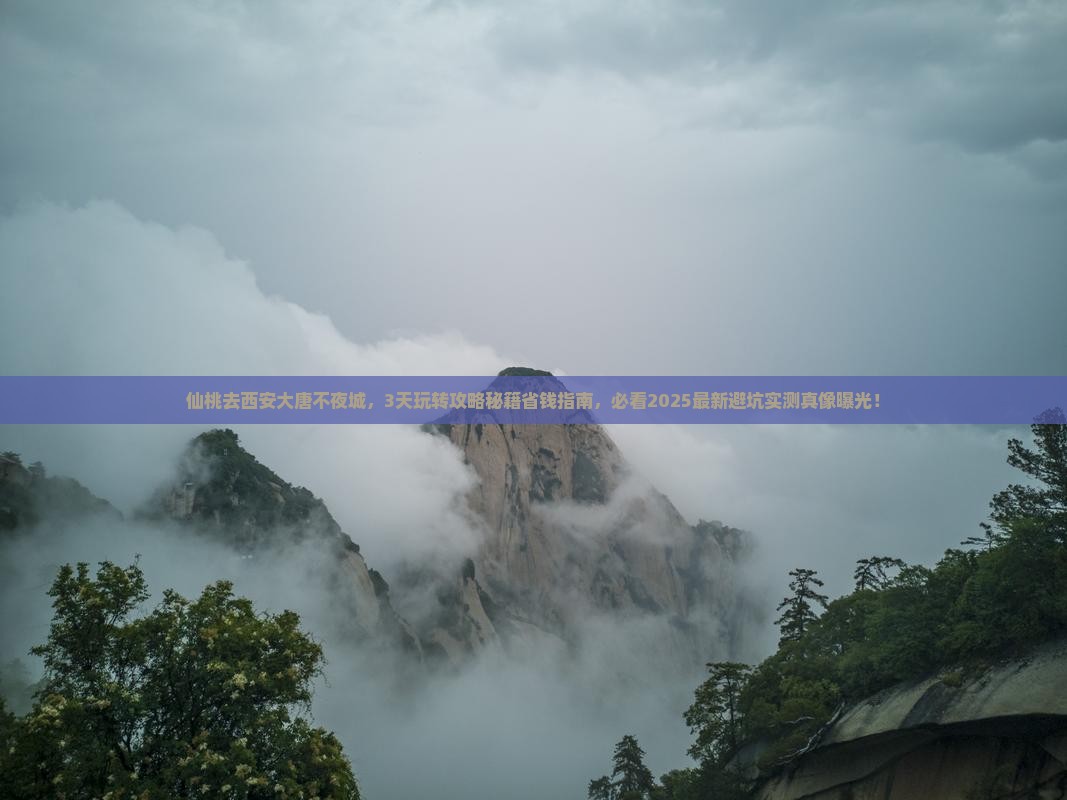 仙桃去西安大唐不夜城景点