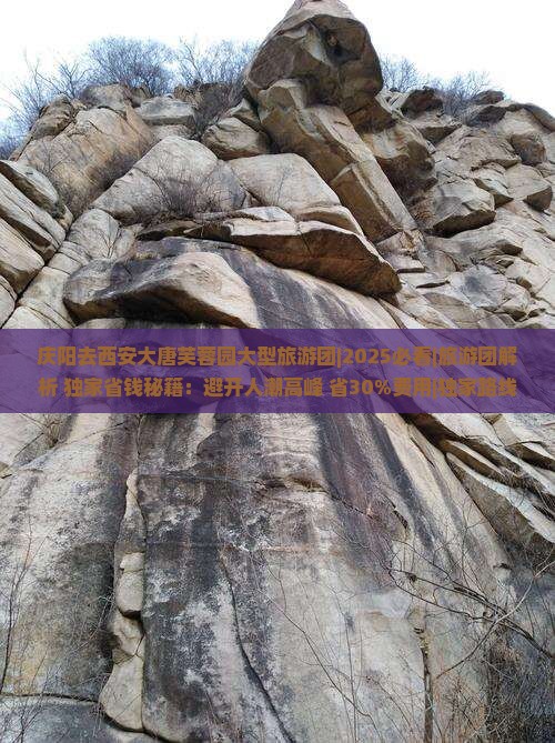 庆阳去西安大唐芙蓉园大型旅游团