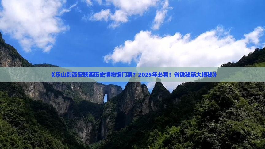 乐山到西安陕西历史博物馆门票