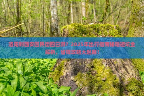 洛阳到西安回民街四日游