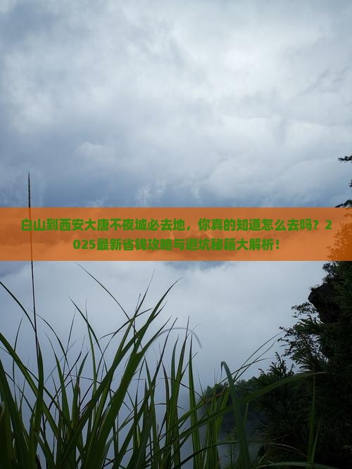 白山到西安大唐不夜城必去地