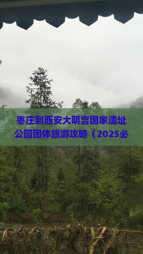 枣庄到西安大明宫国家遗址公园团体旅游