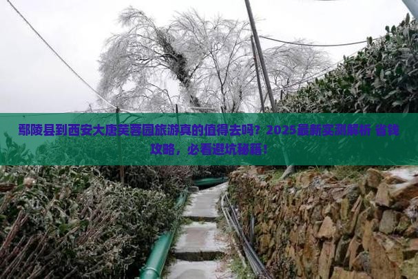 鄢陵县到西安大唐芙蓉园旅游