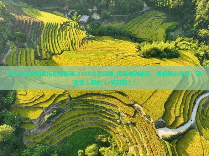 沈阳到西安回民街团体旅游