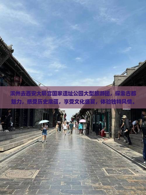 滨州去西安大明宫国家遗址公园大型旅游团