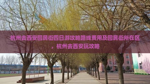 杭州去西安回民街四日游