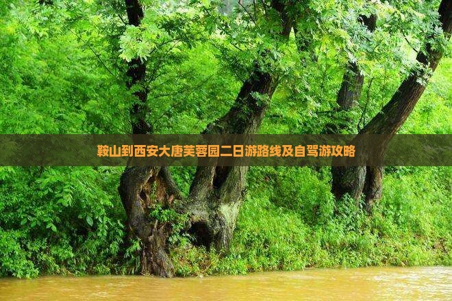 鞍山到西安大唐芙蓉园二日游 鞍山到西安大唐芙蓉园二日游